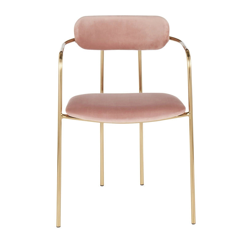 Glam Velvet Dining Chair with Gold Frame (Set of 2)