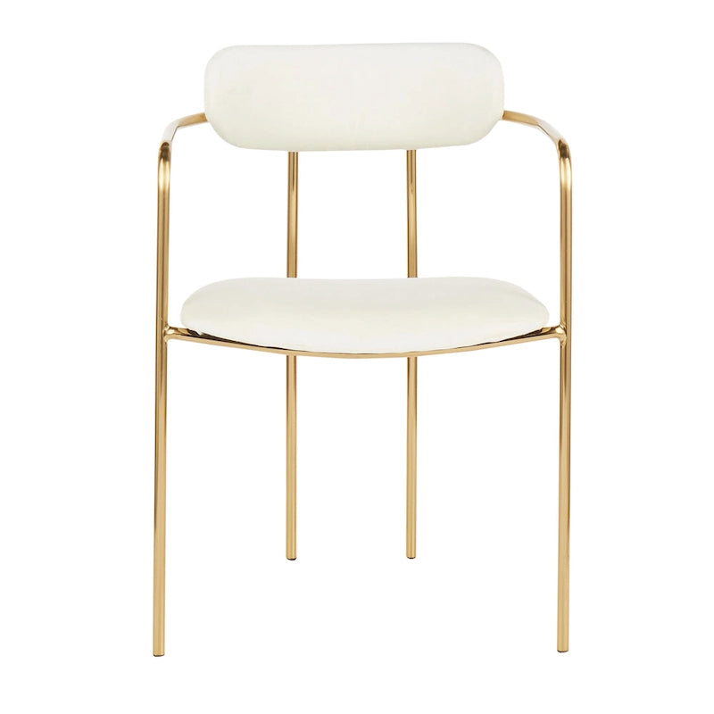 Glam Velvet Dining Chair with Gold Frame (Set of 2)