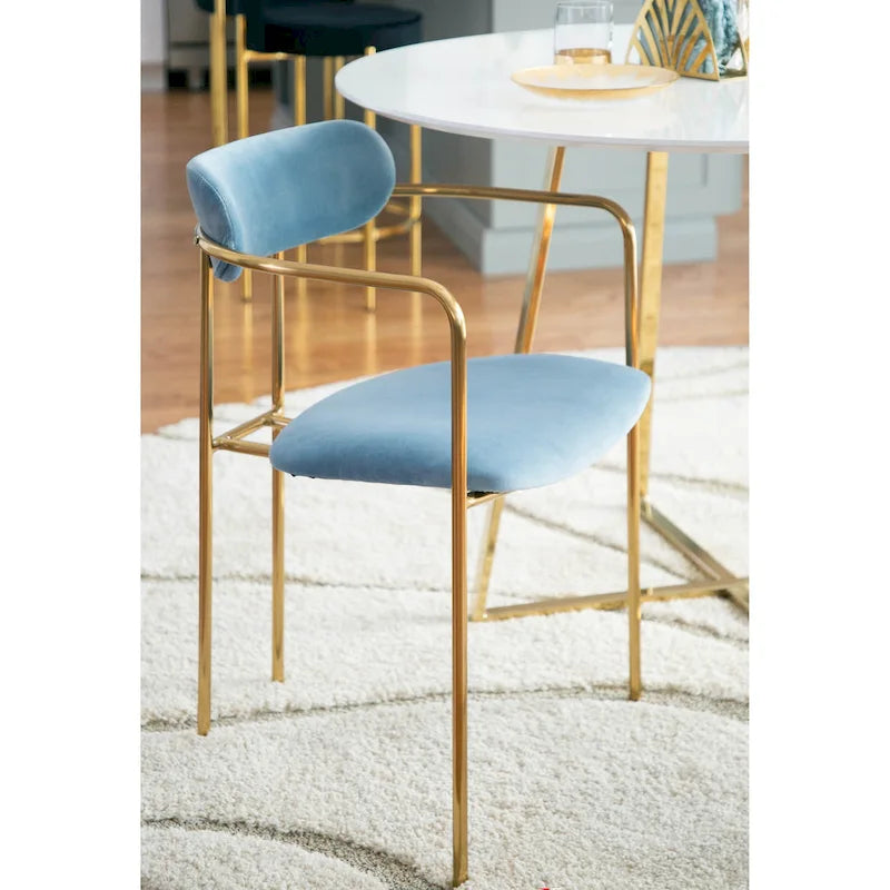 Glam Velvet Dining Chair with Gold Frame (Set of 2)